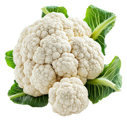 Wall Mural - PNG Cauliflower with green leaves, white bg