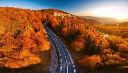 Aerial view of road in colorful forest at sunset in autumn. Top view from drone of mountain road in woods. Beautiful landscape with roadway, blue sky, trees with red and orange leaves in fall. Travel.