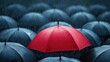 © Suphawan - A red umbrella standing out in a crowd of black umbrellas on a rainy day, symbolizing uniqueness and individuality.