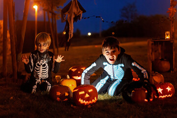 Poster - Two boys in the park with Halloween costumes, carved pumpkins with candles and decoration.