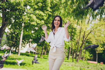 Wall Mural - Photo of pretty young good mood girl amazed have fun pigeons flying wear white clothes walk outside urban city park