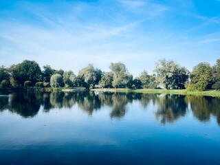 Wall Mural - Trees reflection on the lake surface, blue lake in the park, summertime