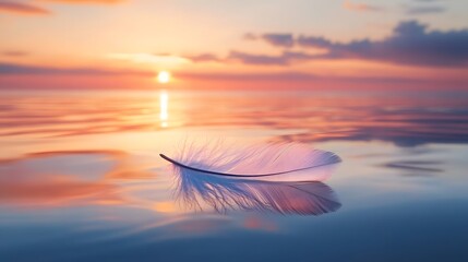 beautiful feathers when exposed to sunlight in the afternoon