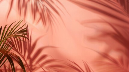Poster - A pink background with a palm tree and its shadow on it