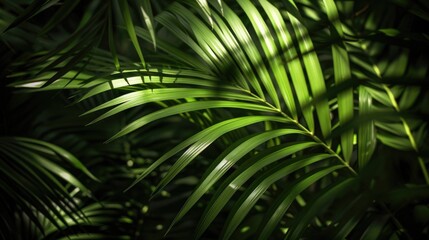 Poster - A close-up of a green palm leaf with intricate details and natural texture