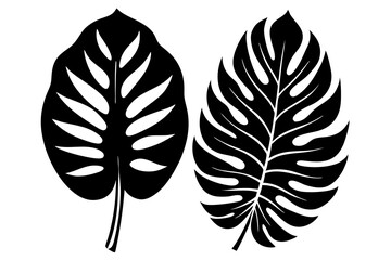 Canvas Print - tropical two separated leaf silhouette