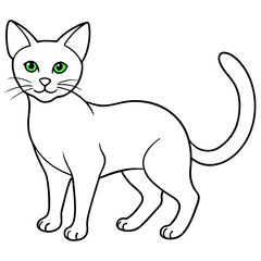 Poster - cat vector line  art color illustration white background