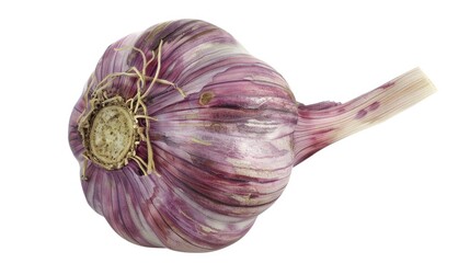 Canvas Print - A high-quality image of a garlic head from the top, isolated on a white background