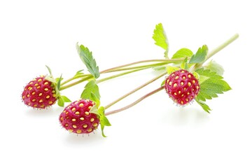 Poster - A close-up of three strawberries with their green leaves on a white surface