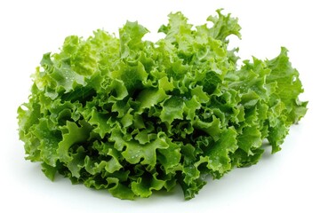 Poster - A bunch of crisp lettuce sits on a clean white surface, ready for use