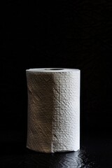 Poster - A single toilet paper roll sits on a table, ready for use