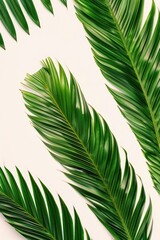 Poster - Close-up of lush green palm fronds on a clean white surface