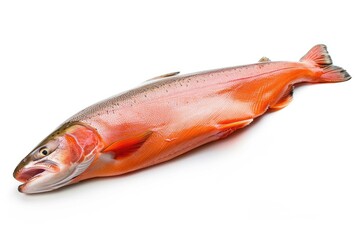 Poster - A fish lying on a white surface