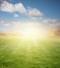 Poster - Green spring meadow and blue sky background