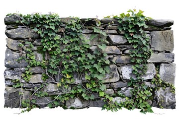 Poster - A stone wall overgrown with lush greenery