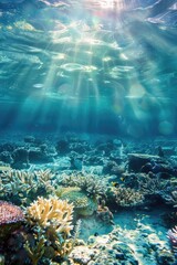 Poster - A vibrant coral reef with fish and seaweed under the warm sunlight