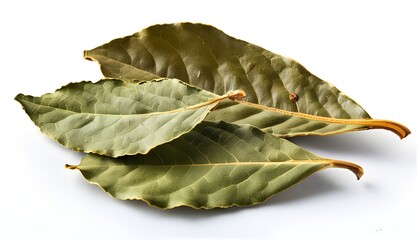 Wall Mural - Delicate dried bay leaves showcasing intricate textures against a pristine white backdrop