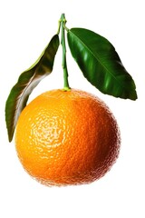 Poster - A single orange fruit with a green leaf attached