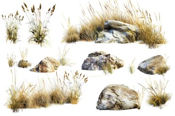 Poster - A simple composition of rocks and grass on a white background, suitable for various designs