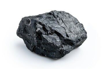 Poster - A single black rock sitting on a white surface