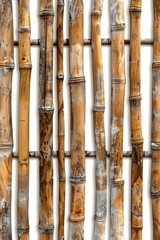 Poster - A close-up view of several bamboo poles arranged together, suitable for use in a variety of contexts including architecture, design, or nature scenes