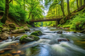 Close-Up water stream flowing forest green trees bridge connect