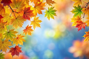 colorful maple leaves at the corner background low angle