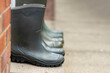 © Tosh - 3 pairs mid and full height green rubber outdoor gardening wellington boots lined up in row on doorstep