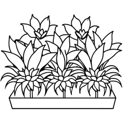 Wall Mural - flowerbeds outline coloring book page line art drawing