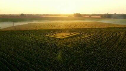 Poster - Golden sunlight is illuminating a square crop field pattern surrounded by circular patterns in a freshly planted field covered in fog at dawn