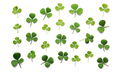 Collection set of green lucky clover and shamrock on a transparent background 