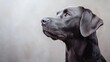 © CaptainMCity - An Elegant and Captivating Portrait of a Black Labrador with a Charming Side Profile