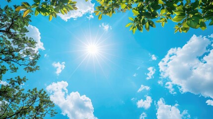 Wall Mural - Sunny Sky with Clouds and Trees Under Clear Blue Summer Day Sky