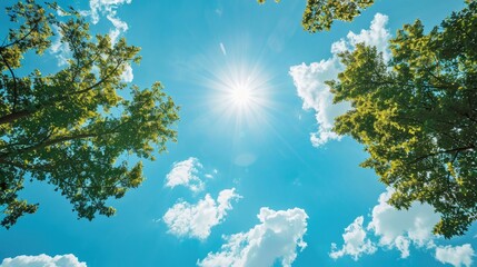 Wall Mural - Sunny Sky with Clouds and Trees Under Clear Blue Summer Day Sky