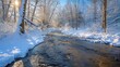 © CreativeBro - Snowy Winter Stream on a Sunny Day