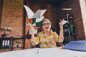 Sticker - Photo of adorable lovely glad senior lady sitting armchair working as financier loft interior indoors workstation workspace