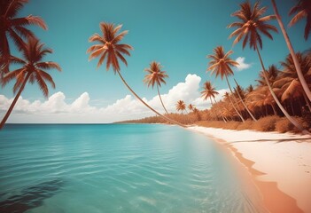 A tropical beach with a palm tree, clear blue sky, and calm turquoise waters