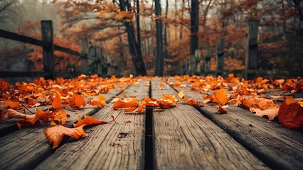 Wall Mural - Wooden surface and autumn forest