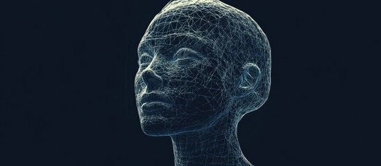 Aufkleber - High resolution 3D wireframe representation of a female head isolated on a dark background symbolizing technology cyborgs virtual avatars and futuristic concepts