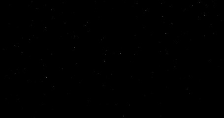 Wall Mural - Natural Organic Dust Particles Floating On Black Background. Dynamic Dust Particles Randomly Float In Space. Shimmering Glittering Dust Particles With Bokeh. Slow motion on Black Background.