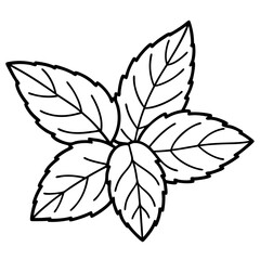 Wall Mural - mint leaves outline coloring book page line art drawing