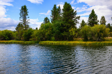 Poster - 2024-09-11 THE DESCHUTES RIVER WITH GRASS LINES SHORE AND NICE FOLIAGE WITH A BEAUTIFUL SKY NEAR SUNRIVER OREGON