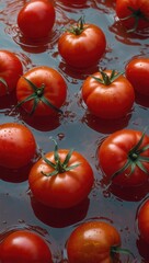 Wall Mural - A close up of a bunch of red tomatoes floating in a pool of water