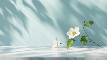 Poster - Table top white marble counter blue cement wall with shadow sunlight from plant