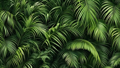 Lush pattern of dense green tropical palm leaves intertwined harmoniously