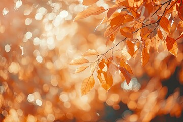 Wall Mural - Orange fall leaves in park, autumn natural background , ai