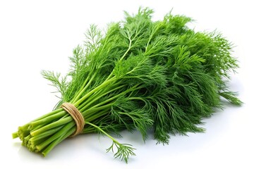 Fresh green dill isolated on white background