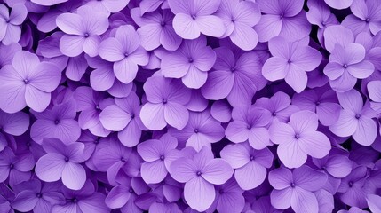 Wall Mural - Purple Flower Petals Background Texture