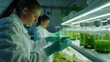 © basketman23 - Algae biologists studying microalgae strains under controlled lab conditions