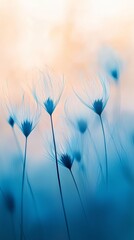 Poster -  A tight shot of several dandelions against a softly blurred backdrop, featuring a distant sky